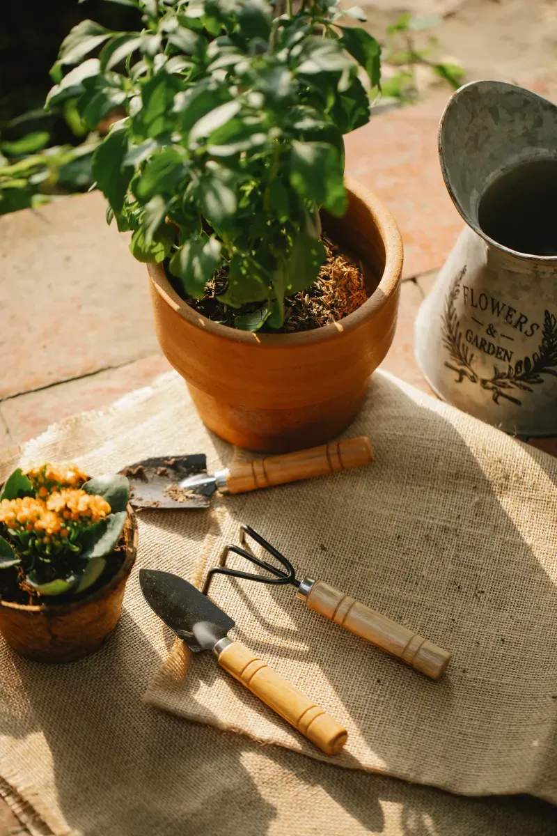 Saisonale Gartenreinigung